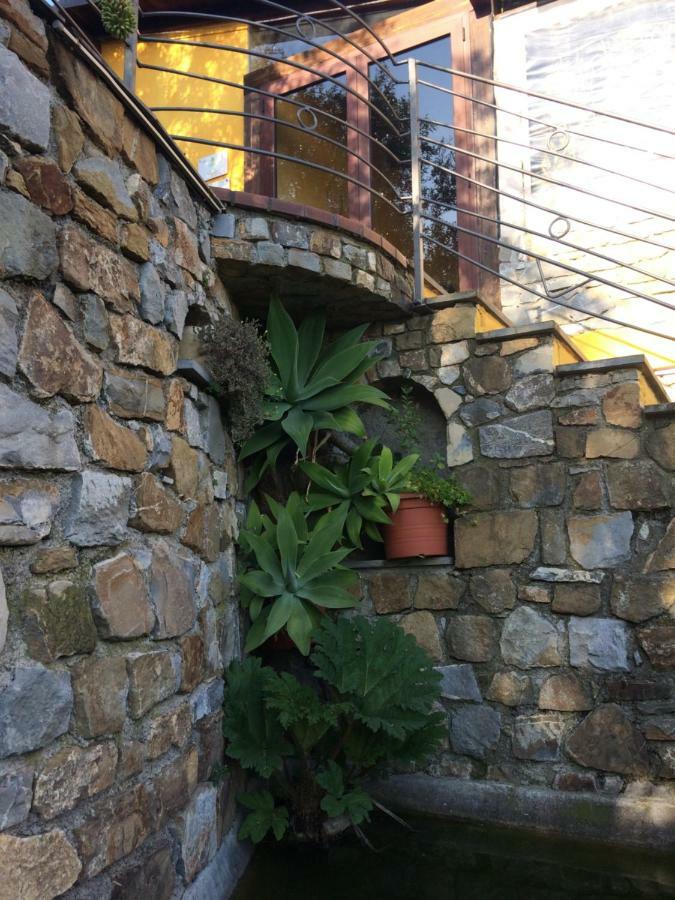 Creuza De Ma Hotel Santo Stefano al Mare Exterior photo